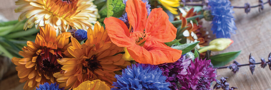 A bouquet with orange, blue, and purple flowers grown from one of Johnny's flower seed mixes.