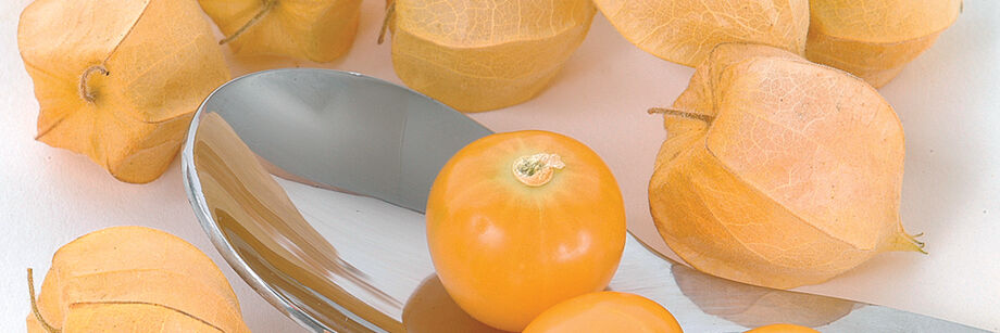 Ground cherries displayed on a table, both husked and unhusked, and with a spoon, which shows the fruit fits in a spoon.