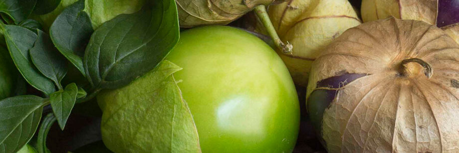 Green and purple tomatillos, shown with the papery husk partially removed.