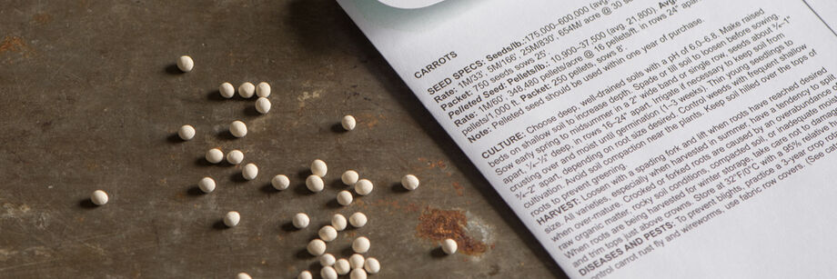 Pelleted carrot seeds alongside a seed packet.