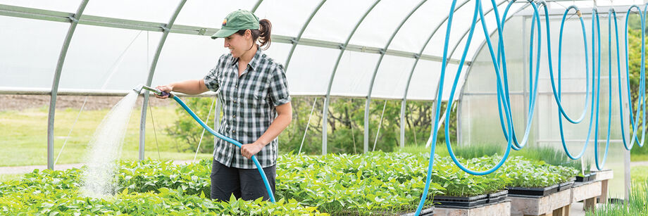 Woman watering seedlings in a high tunnel.