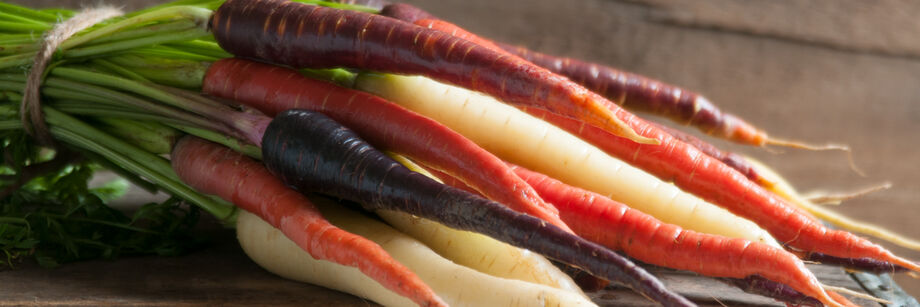 A bundle of rainbow carrots grown from Johnny's carrot seeds.