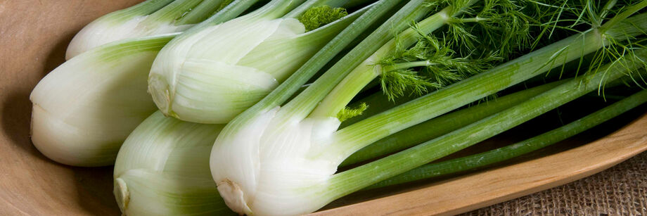 Five fennel bulbs laid in a wooden bowl.