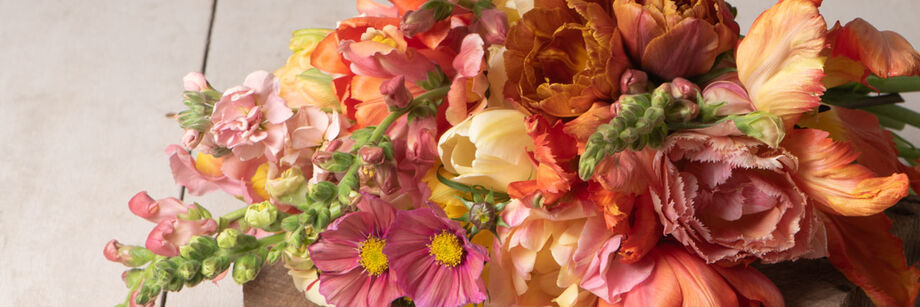A bouquet of flowers in bright red, pink, and orange colors.