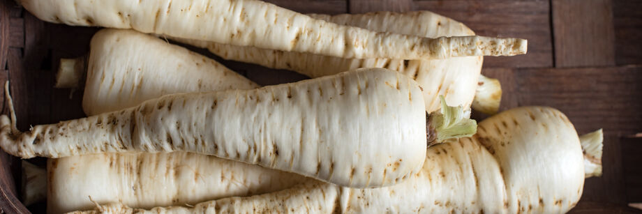 Bright white parsnips grown from Johnny's parsnip seeds.