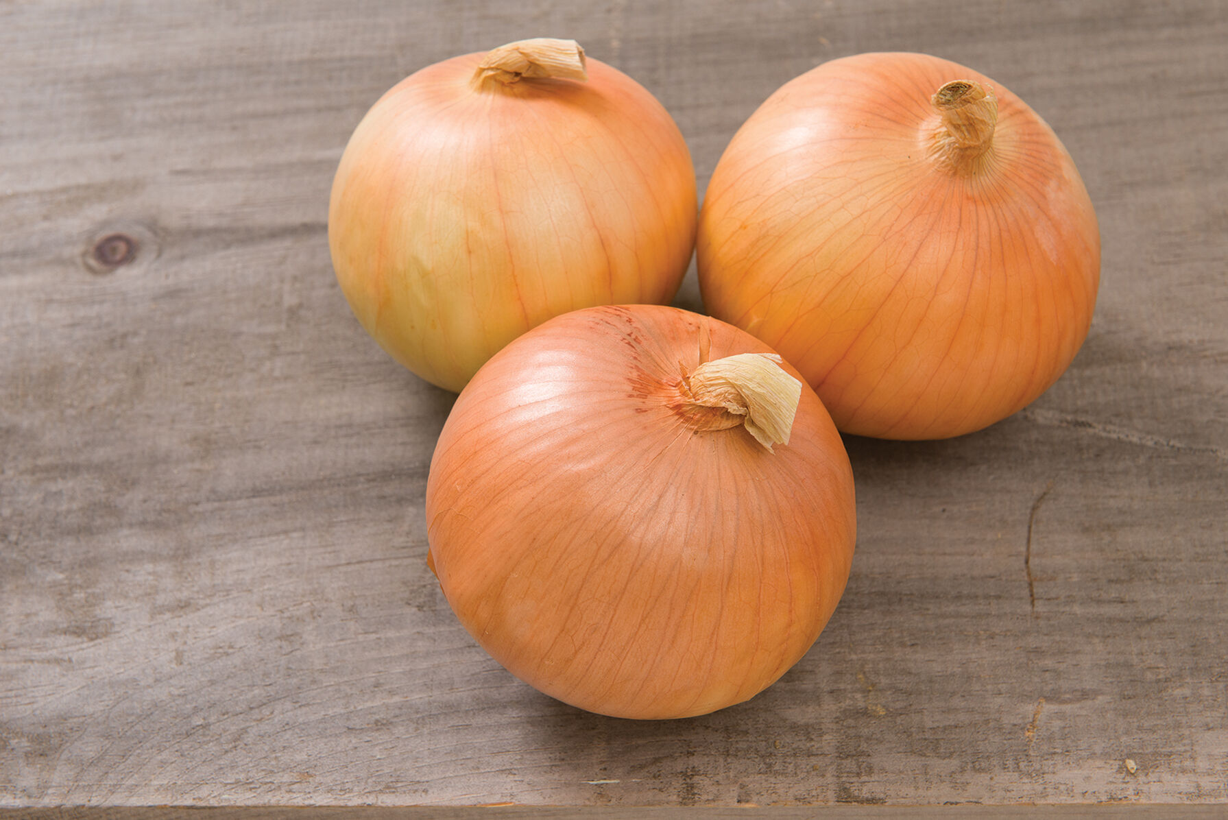 Expression Full-Size Onions