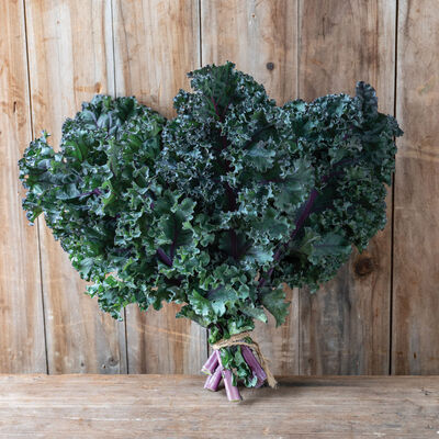 Rubybor Curly Kale