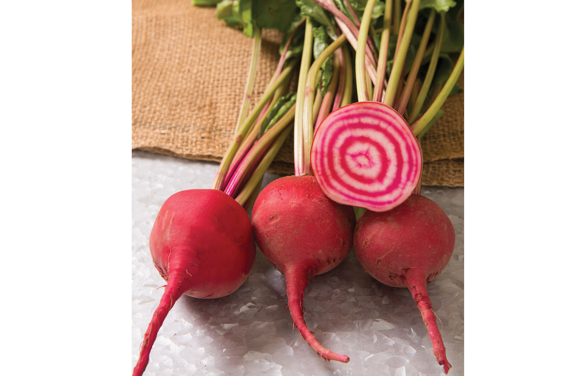 Chioggia Guardsmark Specialty Beets