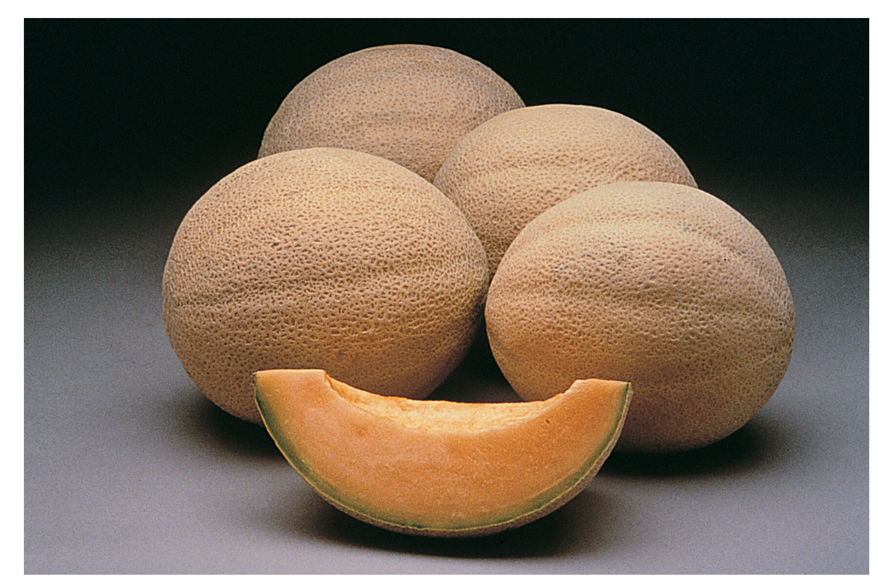 Athena Cantaloupe (Muskmelon)