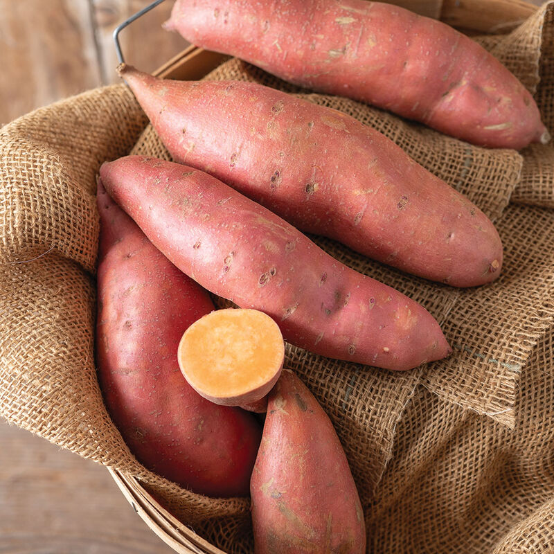 Covington Sweet Potatoes