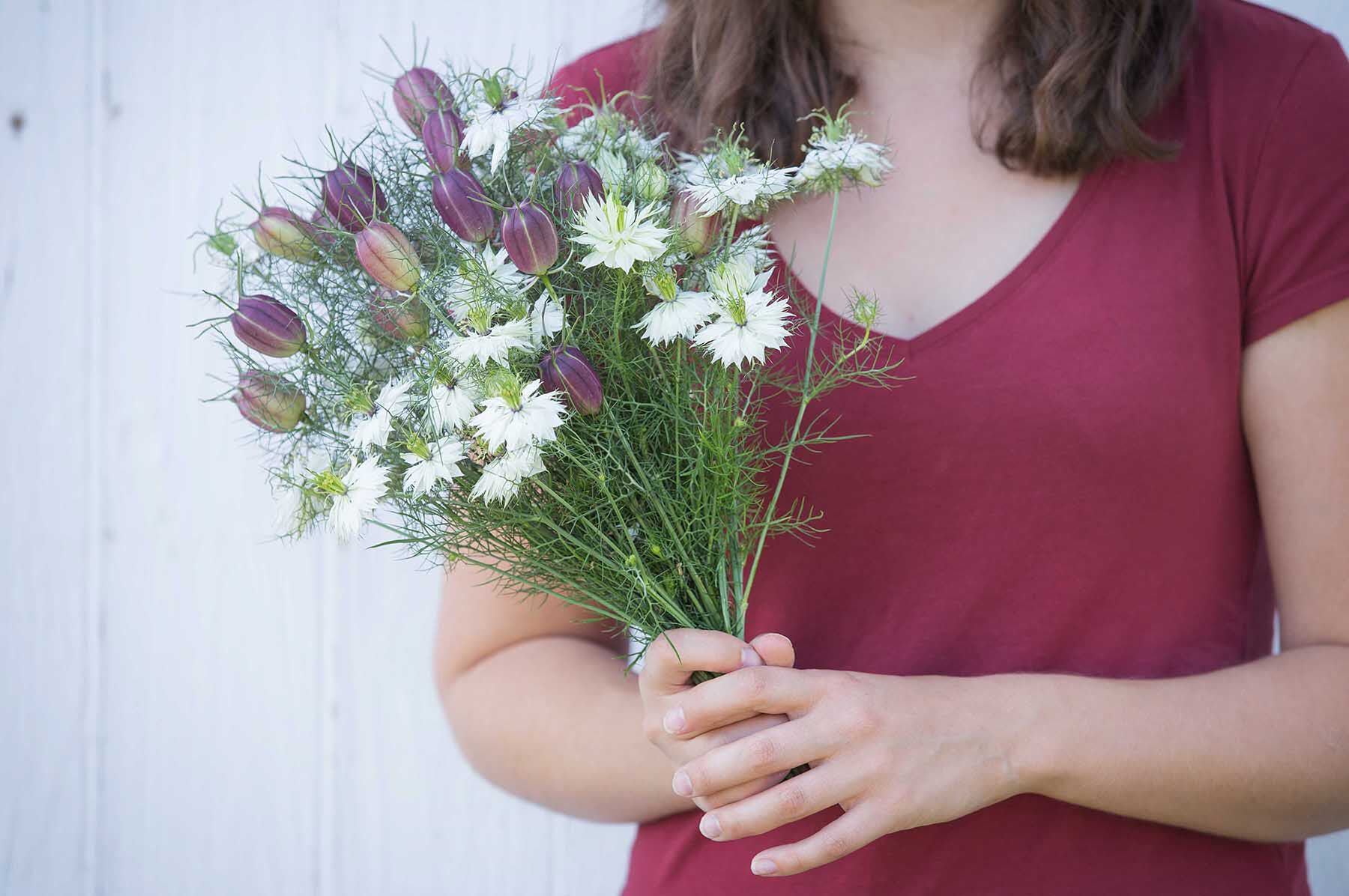 Albion Black Pod Nigella