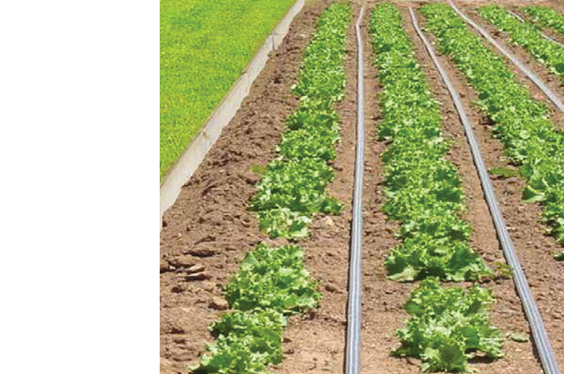 Johnny's Drip Irrigation Kit &ndash; 500' Drip Irrigation