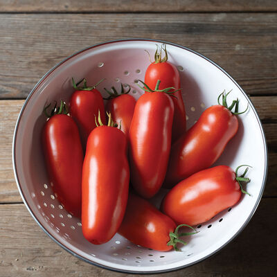 Amalfi Paste Tomatoes