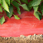 SRM Red Mulch – 4' x 600' Mulch Films