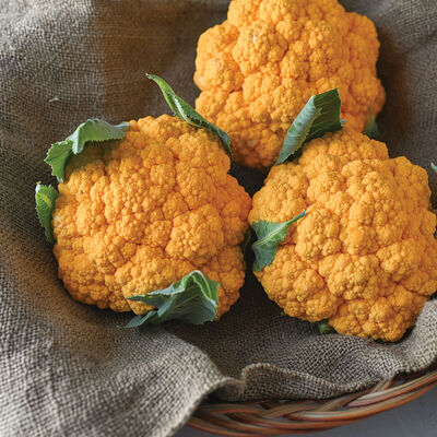 Clementine Standard Cauliflower