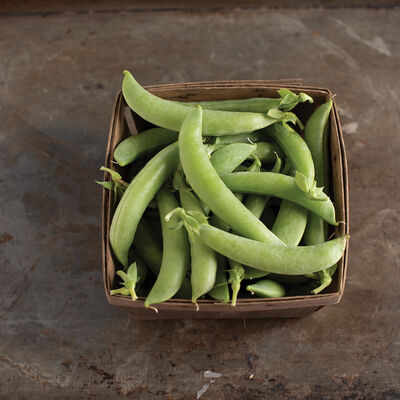 Sugar Lace II Snap Peas