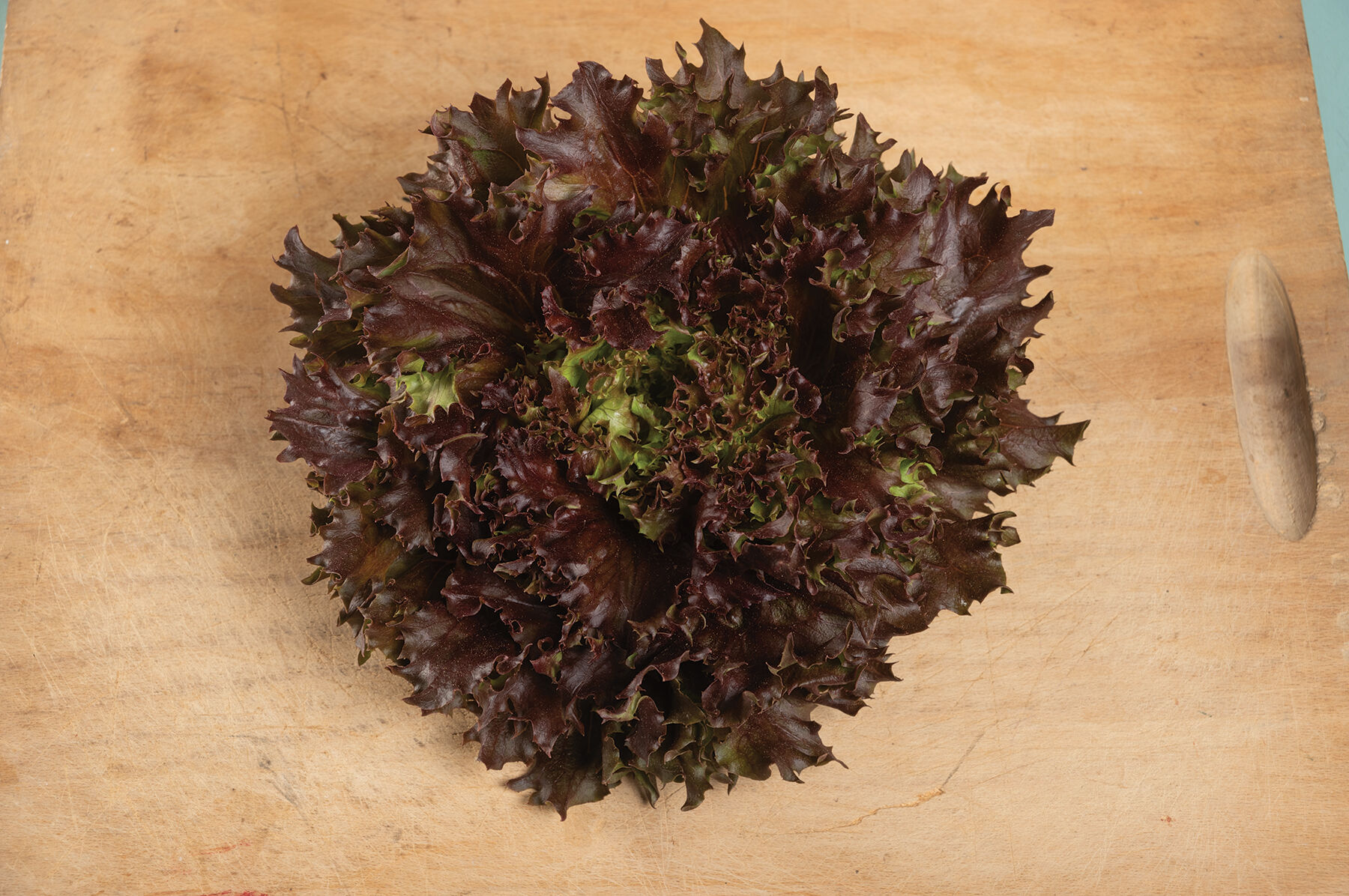 Rubygo One-Cut Lettuce