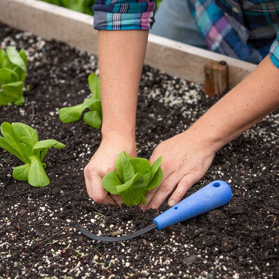 CobraHead&reg; &ndash; Mini Weeders and Cultivators