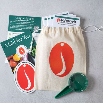 Bright & Easy Blooms Collections