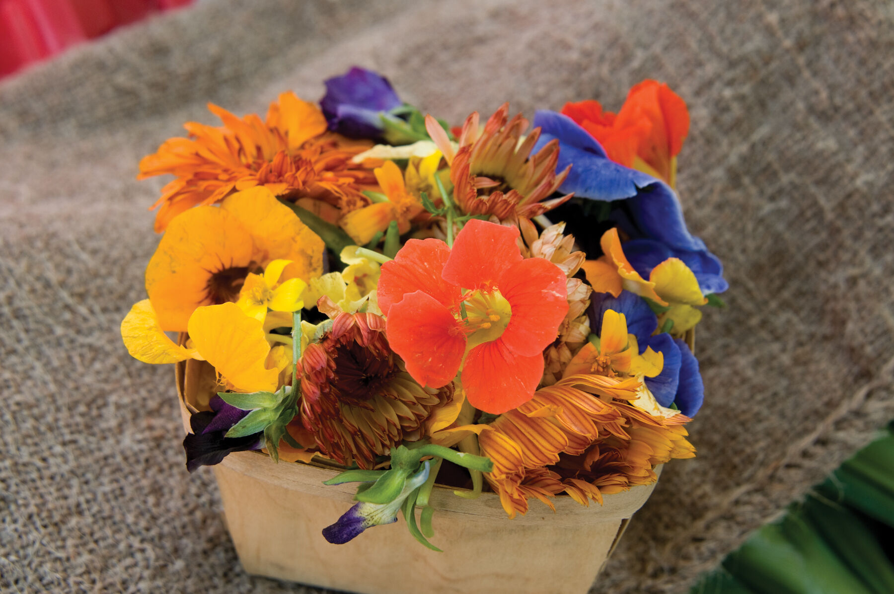 Edible Flower Collection Flower Collections and Mixes