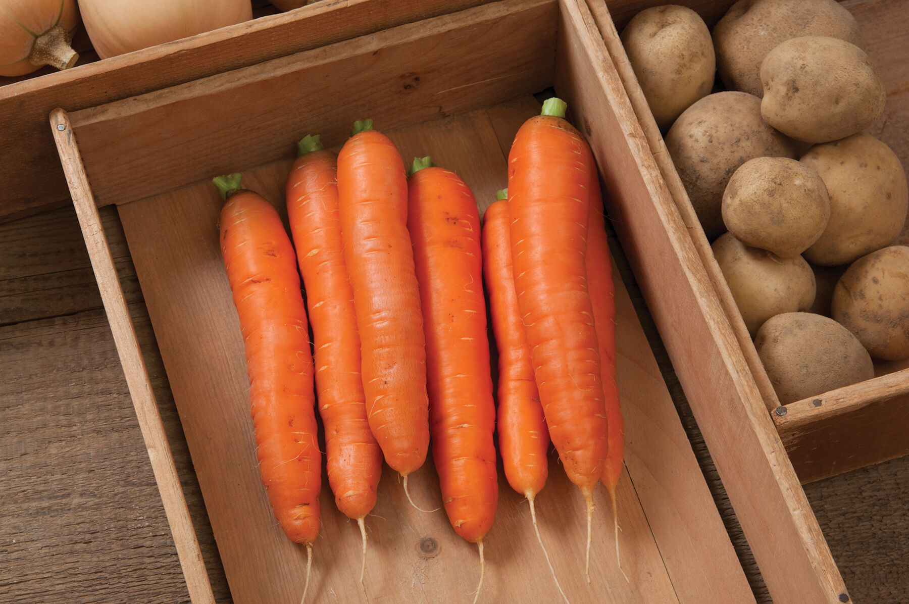 Bolero Carrots