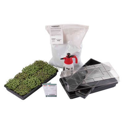Basic Microgreens Seed Starter Kit Microgreens Supplies