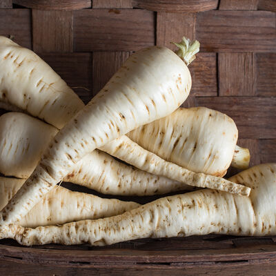 Javelin Parsnips