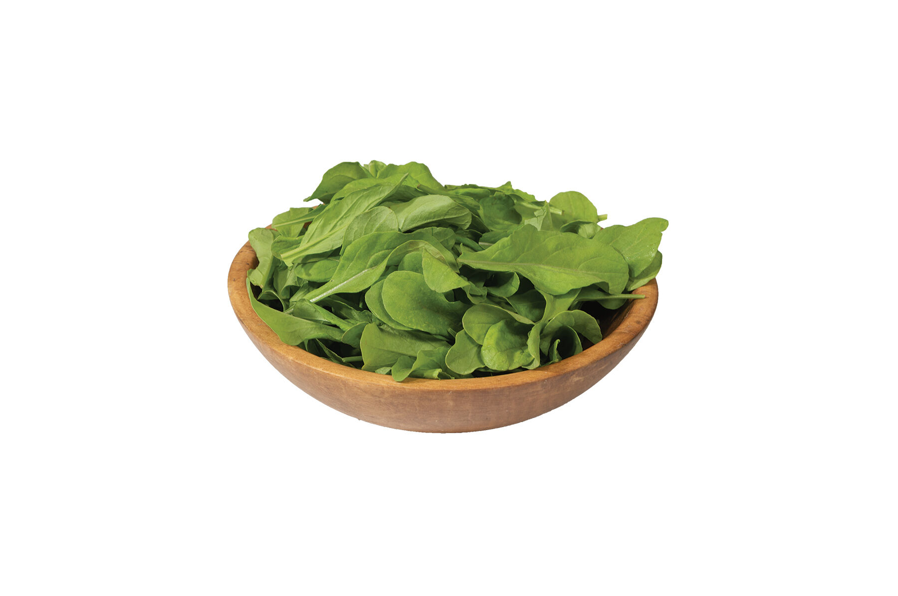 Astro Arugula (Roquette)