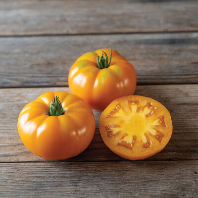 Marmango Beefsteak Tomatoes