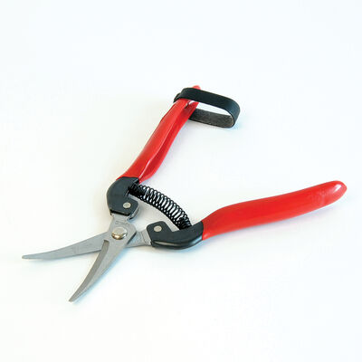 Grape & Tomato Shears Shears & Scissors