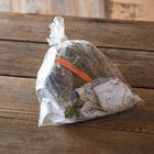 Honeoye &ndash; Spring-Planted Strawberry Bare-Root Plants