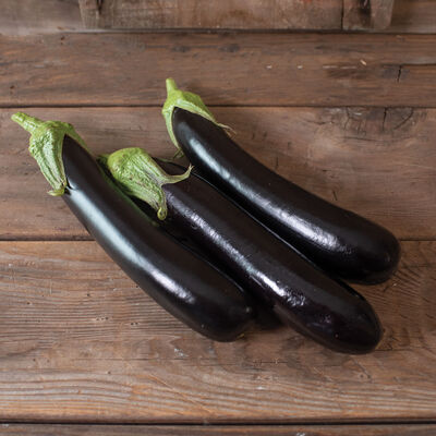 Turkish Delight Asian Eggplants