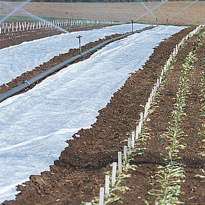 Agribon+ AG-15 – 118" x 250' Agribon+ AG-15 – 118" x 250' Crop Protection
