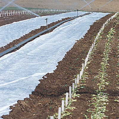 Agribon+ AG-15 – 118" x 1,500' Agribon+ AG-15 – 118" x 1,500' Crop Protection