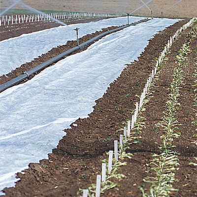 Agribon+ AG-19 – 30' x 100' Agribon+ AG-19 – 30' x 100' Agribon