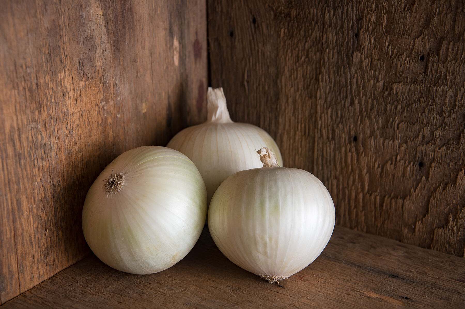 Sierra Blanca Full-Size Onions