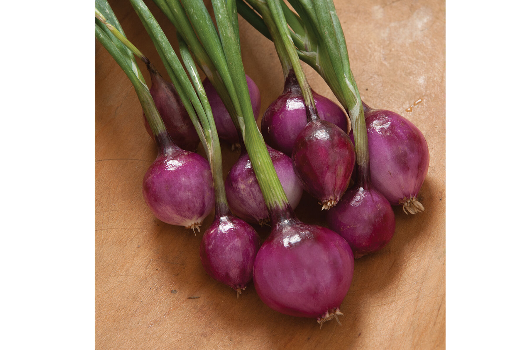 Purplette Mini Onions