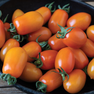 Mimosa Grape Tomatoes