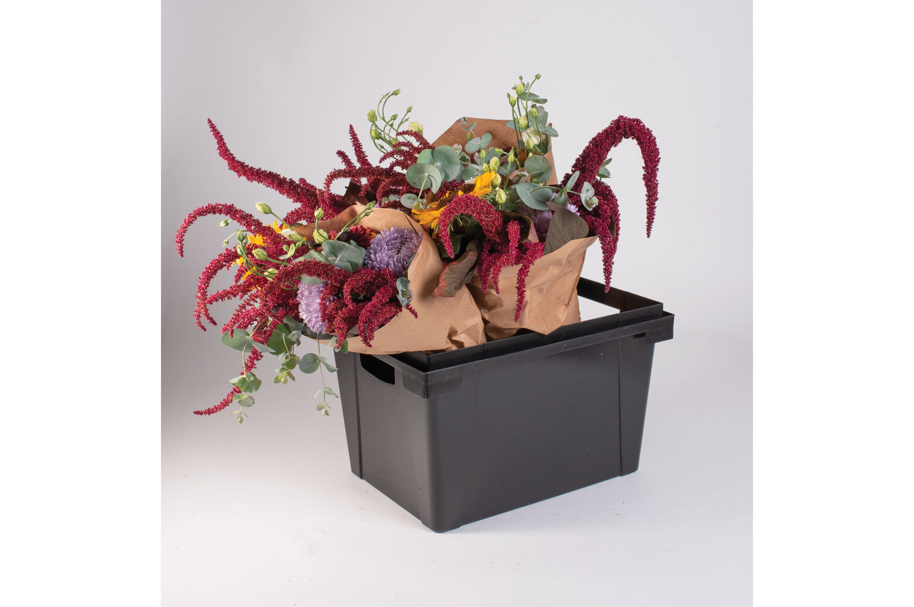 Valencia Container &ndash; 25 cm Valencia Series