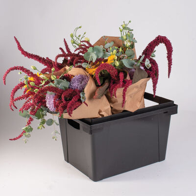 Valencia Container – 25 cm Valencia Container – 25 cm Valencia Series