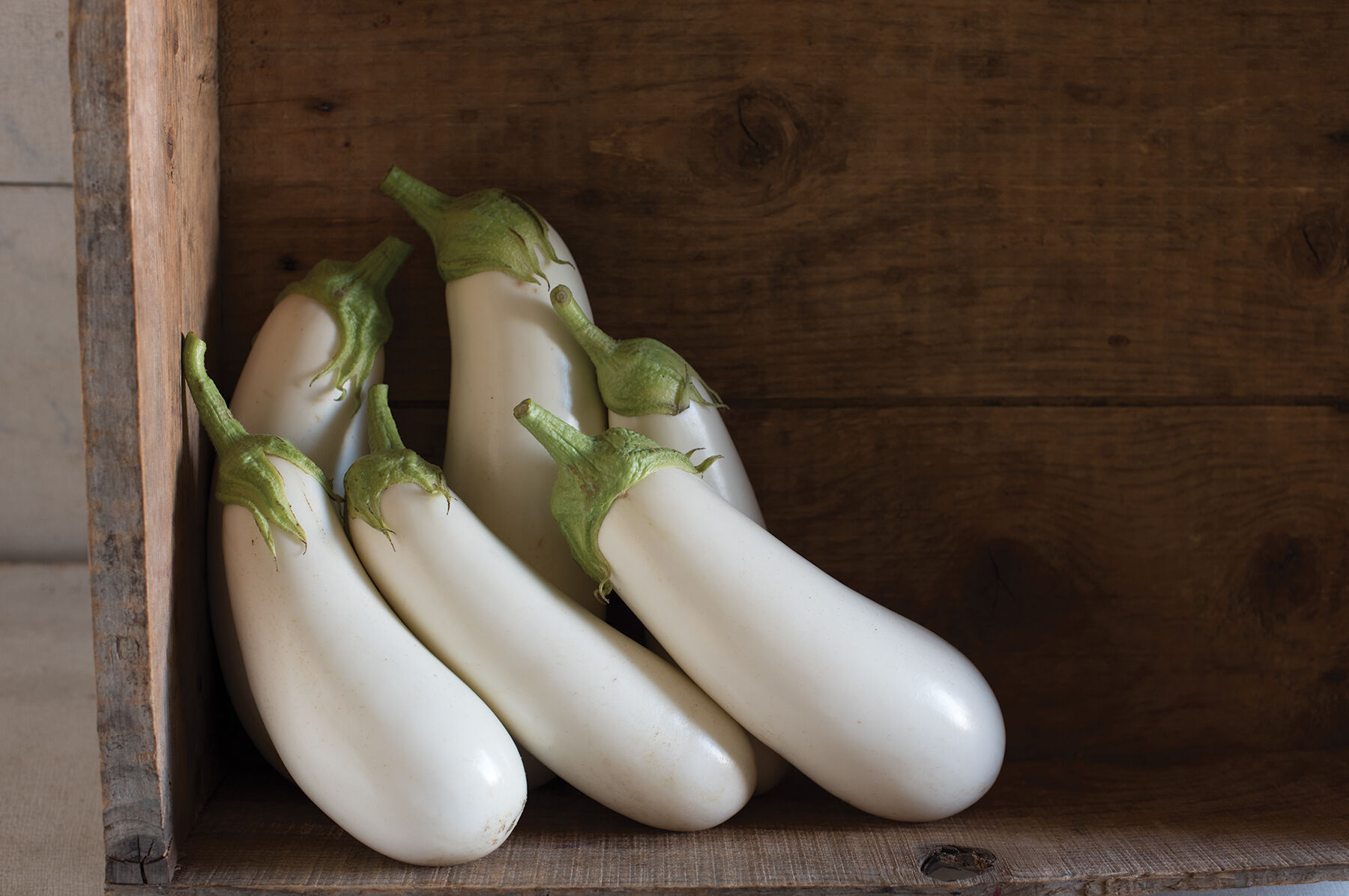 Aretussa Italian Eggplants
