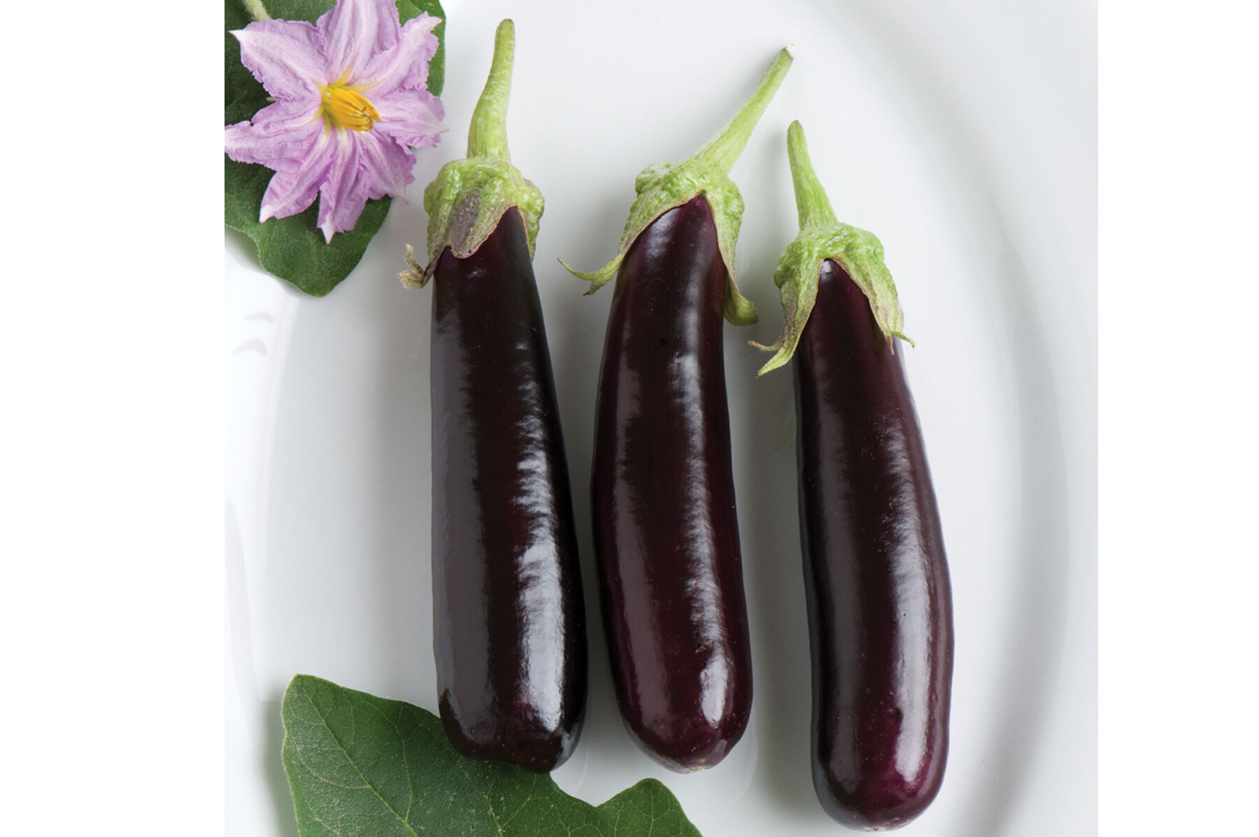 Hansel Mini Eggplants