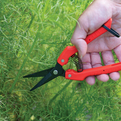 Johnny's Floral Shears Shears & Scissors