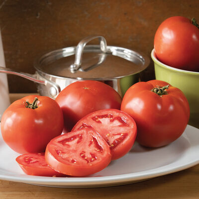 Big Beef Plus Beefsteak Tomatoes
