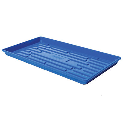 Polypro Shallow Tray (With Holes), Blue – 4 Count Support Trays