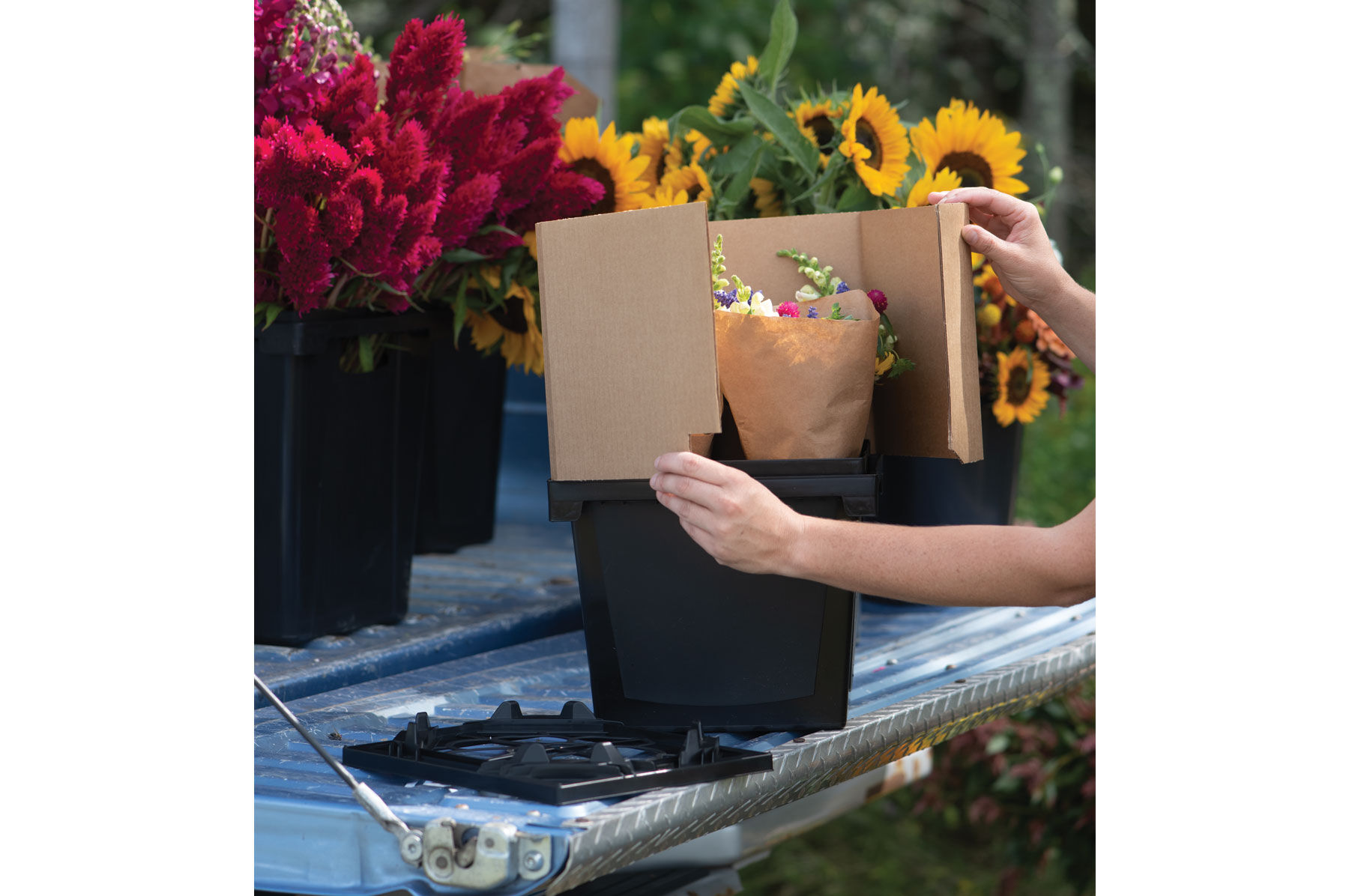 Florida Collar &ndash; 9" Florida Series