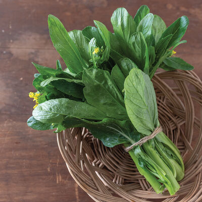 Green 70 D Improved Asian Greens