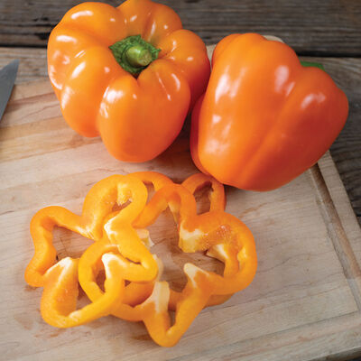 Nova Sweet Bell Peppers