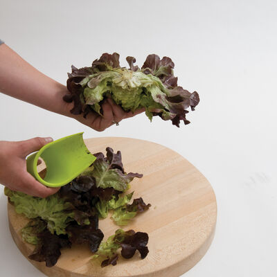 Salanova&reg; Cutter Harvest Knives