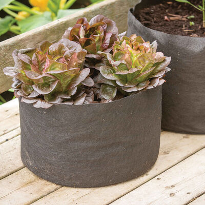 Smart Pot&reg; &ndash; 7 Gal. Grow Bags